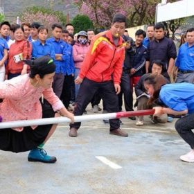 Kích Thước Sân Thi Đấu Môn Đẩy Gậy Chuẩn Quy Định
